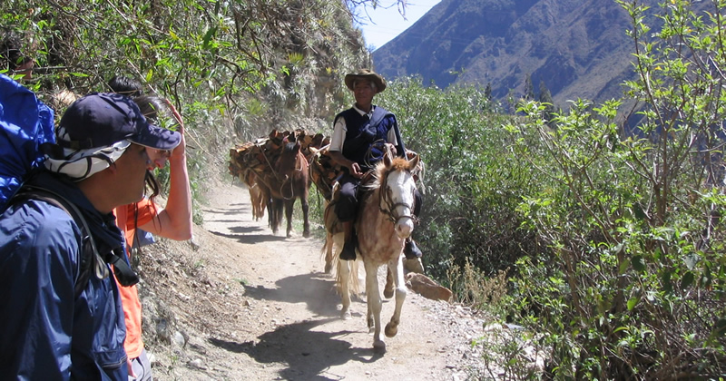 Inka Trail per Pferd