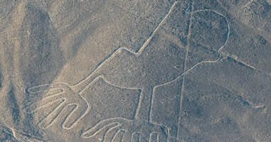 Nazca Linien Vogel