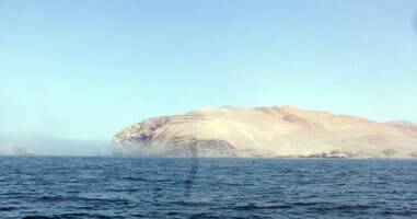 Islas Palomino