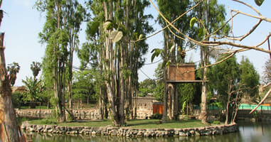 Zoo Parque de las Leyendas