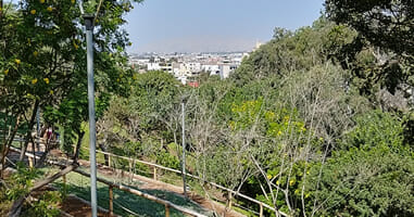 Parque Loma Armarillia 