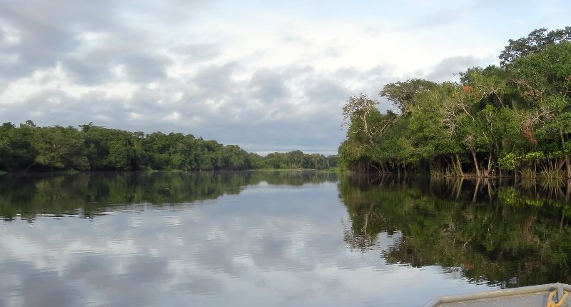 Der Amazonas in Perus Norden