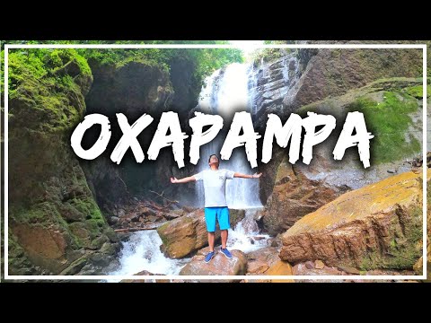 OXAPAMPA: CATARATA RIO TIGRE ¿Cómo llegar?
