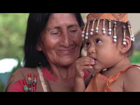 Reserva de Biosfera Oxapampa Asháninka Yánesha- Official Video