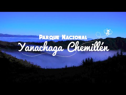 Feliz aniversario Parque Nacional Yanachaga Chemillén