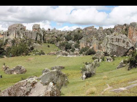 Bosque de Piedra Huaraca