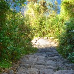 Inka Trail - Treppen