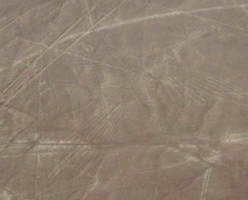 Líneas de Nazca Cóndor