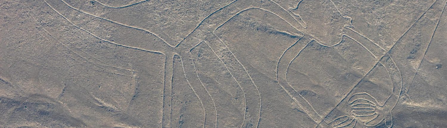 Líneas de Nazca mono