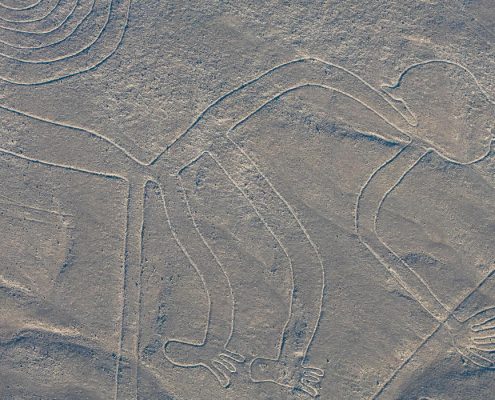 Líneas de Nazca mono