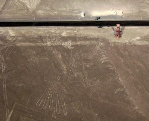 Líneas de Nazca árbol