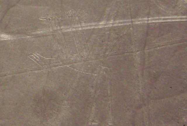 Nazca Linien Hund