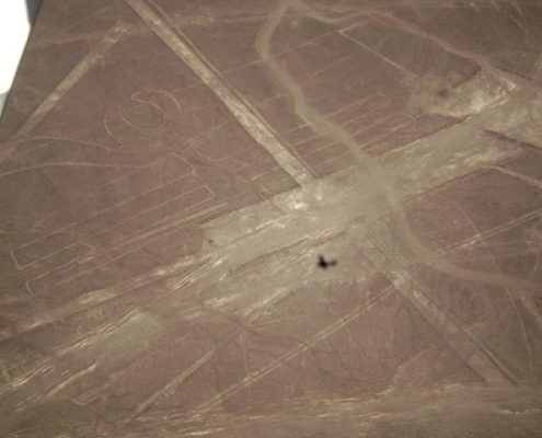 Líneas de Nazca Loro