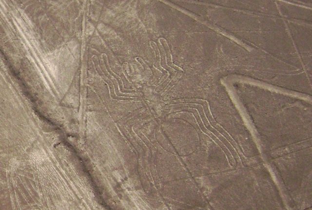 Nazca Linien Spinne