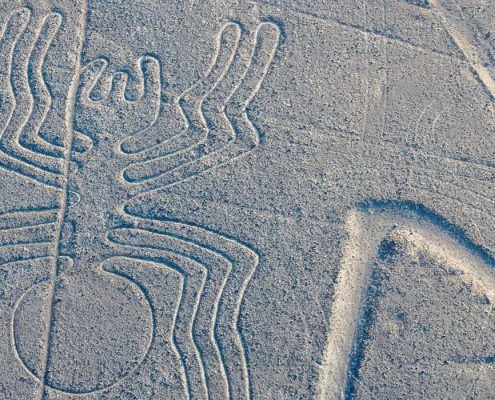 Líneas de Nazca Araña