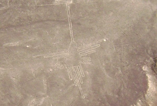 Nazca Linien Vogel