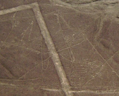 Líneas de Nazca Ballena