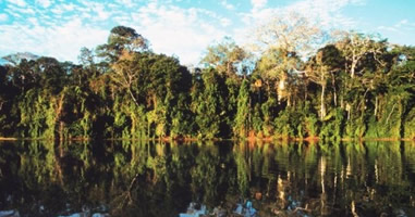 Lebensraum der Amazonas Indianer