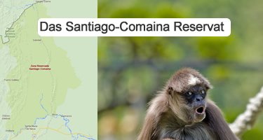 Santiago Comaina Reservat