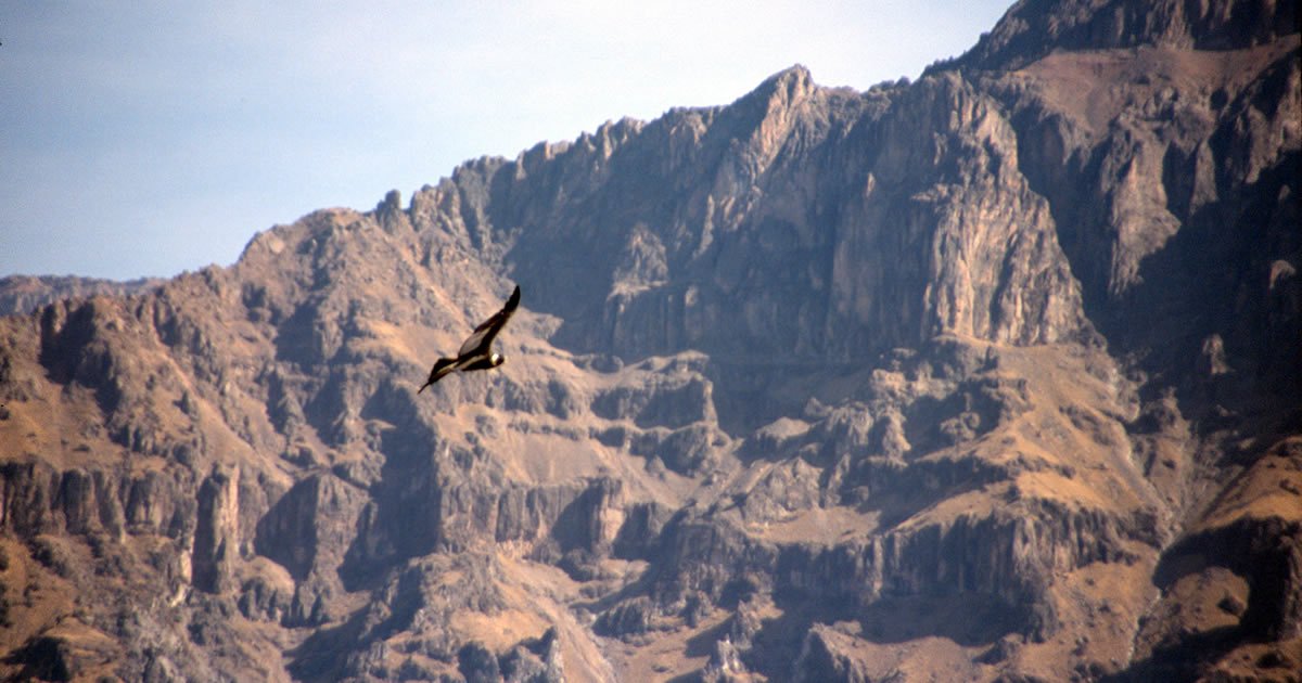 Der Cañón del Colca – der Colca Canyon