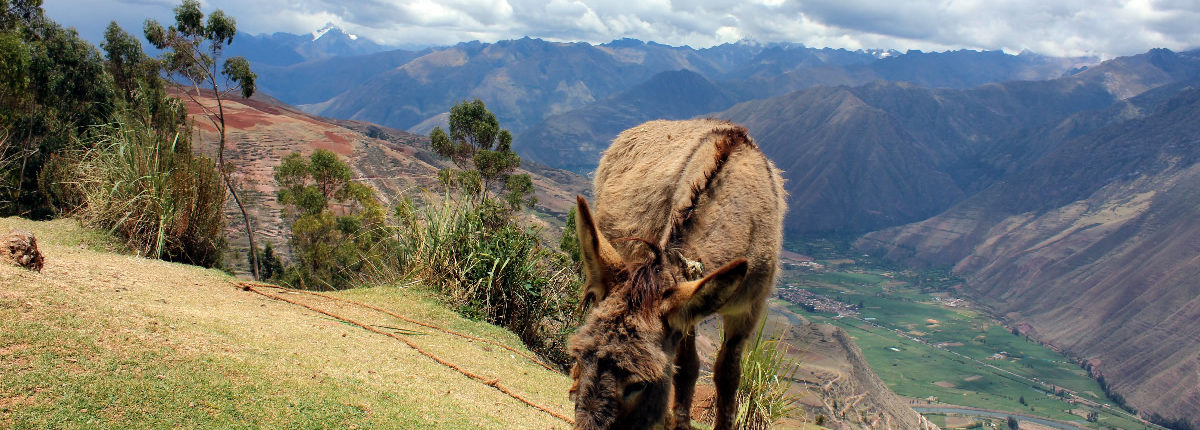 Peru Clásico - die klassische Rundreise Urubamba-Tal