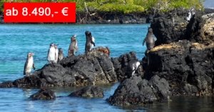 Reiseangebot Abwechslungsreiche Suedamerika-Reise Von Galapagos nach Machu Picchu