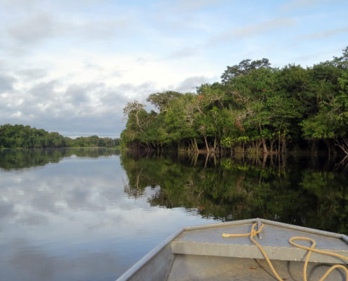 Der Amazonas in Peru