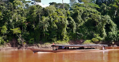 Amazonaszufluss Tambopata im peruanischen Dschungel