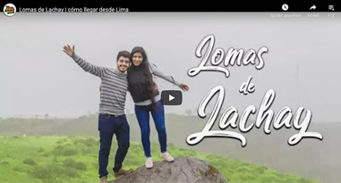 Videos Nationalpark Lomas de Lachay
