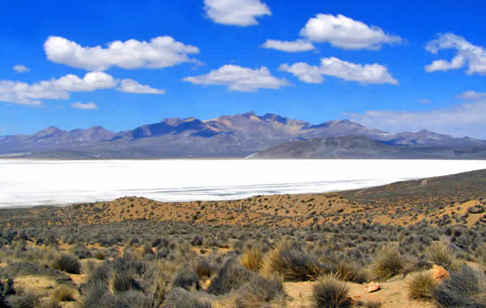 Laguna de Salinas – Naturwunder nahe Arequipa