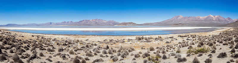 Salar Arequipa