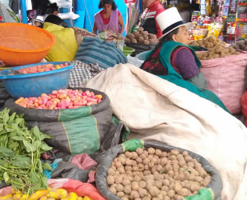 Die besten Märkte in Cusco: Ein Streifzug durch Tradition, Kultur und Geschmack