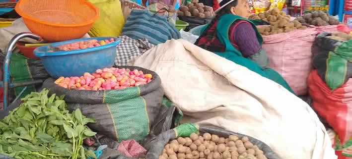 Die besten Märkte in Cusco: Ein Streifzug durch Tradition, Kultur und Geschmack