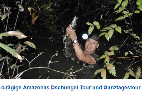 4-tägige Amazonas Dschungel Tour und Ganztagestour