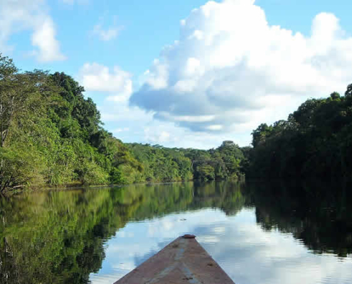 Das Pacaya Samiria Nationalreservat: Ein Paradies im peruanischen Amazonas