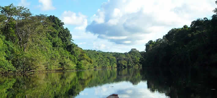 Das Pacaya Samiria Nationalreservat: Ein Paradies im peruanischen Amazonas