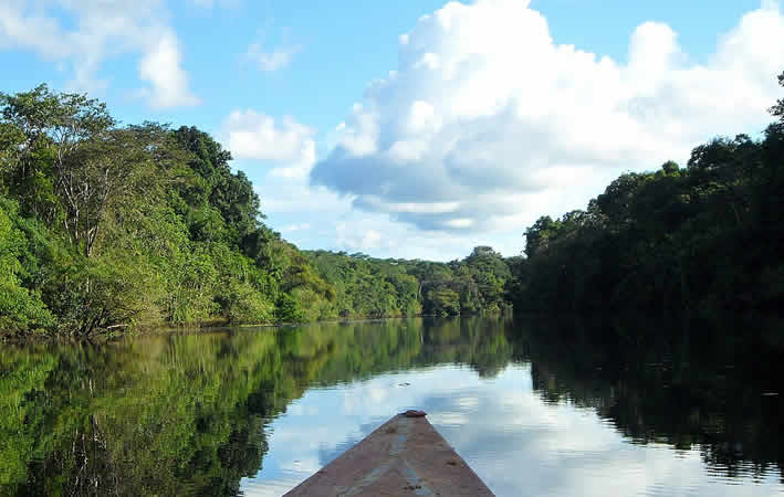 La Reserva Nacional Pacaya Samiria: un paraíso en la Amazonia peruana