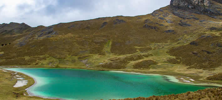 Laguna Verdeccocha: Ein Smaragdgrünes Naturwunder in Ayacucho