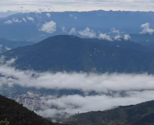 Parque Nacional Yanachaga Chemillén – Einzigartige Naturvielfalt in Peru entdecken