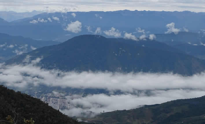 Parque Nacional Yanachaga Chemillén – Einzigartige Naturvielfalt in Peru entdecken