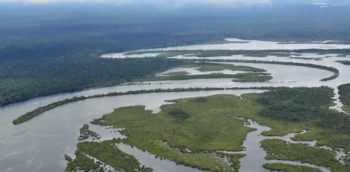 Tiere im peruanischen Amazonas Regenwald