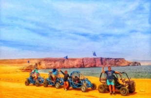 Mini-Buggy Go-Kart im Paracas Nationalreservat