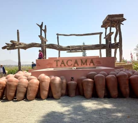 Von Ica oder Huacachina: Tacama‑Weinberg & handwerkliche Weinkellerei