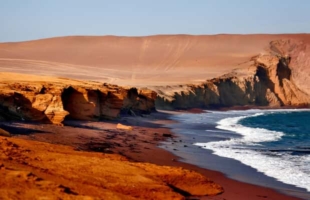 Ballestas‑Inseln & Paracas Nationalreservat