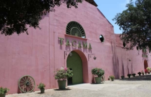 ICA: Pisco-Tour – Tacama, Arrabal & Bodega Lovera
