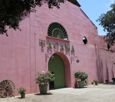 ICA: Pisco-Tour – Tacama, Arrabal & Bodega Lovera