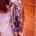 Von Ayacucho: Expedition zu den 7 Canyons von Qorihuillca