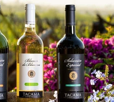 Ica: Pisco Route – Tacama, Arrabal & Bodega Lovera