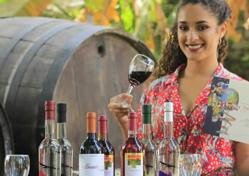 Bodega Viña Los Reyes – Tradición de vino y pisco desde 1896 en el corazón de Lunahuaná Bodega Viña Los Reyes – Tradición de vino y pisco desde 1896 en el corazón de Lunahuaná