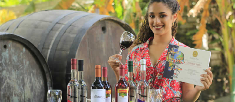 Bodega Viña Los Reyes – Tradición de vino y pisco desde 1896 en el corazón de Lunahuaná